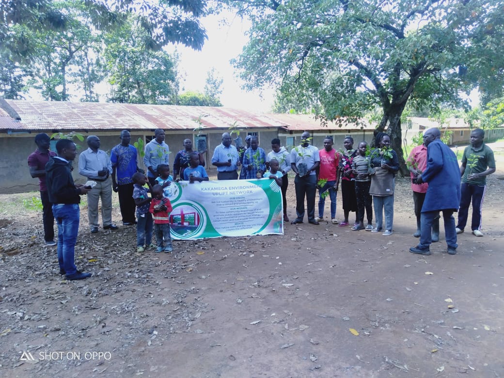 Tree Planting Initiative